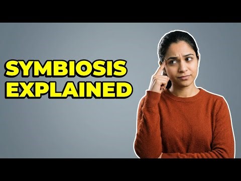 What Is Obligate Versus Facultative Symbiosis?