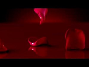 Falling Red Rose Petals Loop Free Background Videos, No Copyright | All Background Videos