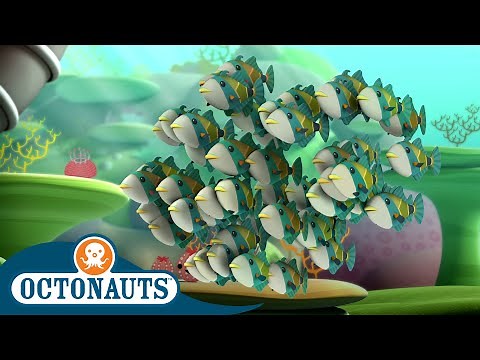 ‪@Octonauts‬ - The Humuhumunukunukuapua’a | Full Episode 49 | Cartoons for Kids