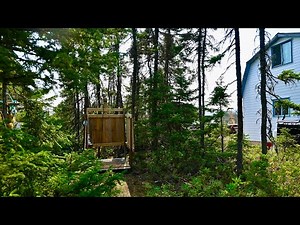 Forest Pallet Shower and a Beginner Beekeeping Mistake | The Homestead Diaries Ep. 12