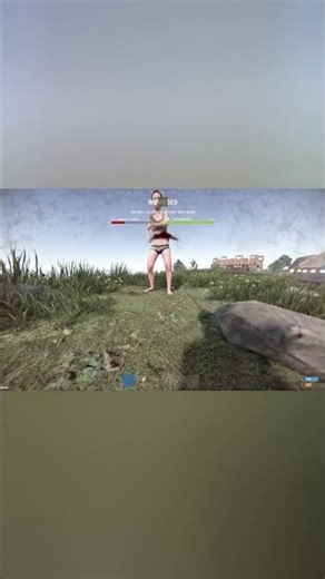 A Normal interaction in #rust #gaming #heyitshobo #twitchstreamer