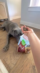 Upgrade your pet's diet with flavorful and nutrient-rich kibble from Open Farm 💚🐾 | Open Farm