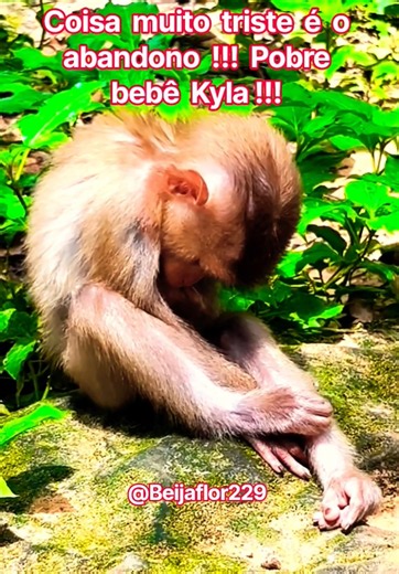 #pobre #bebê #kyla #abandonada #shorts