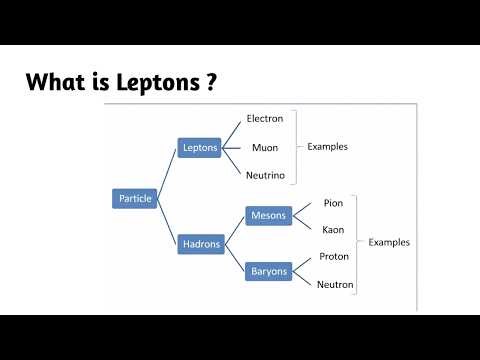 What is Leptons ?