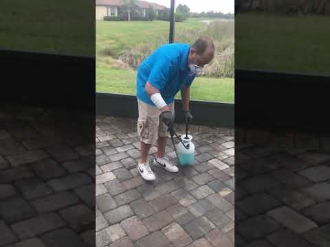 Why are there white spots on my pavers? Treating efflorescence on pavers