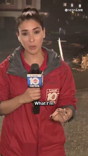 227K views · 2.4K reactions | "This water has to be at least up to my waist — probably even deeper." An ABC News affiliate reporter from WPLG joins ABC News' Linsey Davis from Sarasota, Florida. Hurricane Milton made landfall Wednesday evening, bringing life-threatening storm surge and Category 3 winds. Follow live updates: https://abcnews.go.com/US/live-updates/milton-forecast-hurricane-tracker/?id=114553995 | ABC News Live | Facebook