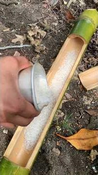 Traditional way of cooking rice using bamboo