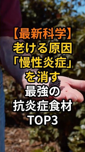 【最新科学】老化を止める「細胞の掃除屋」！炎症を消す最強食材TOP3#予防医学 #健康 #老化防止 #雑学 #shorts