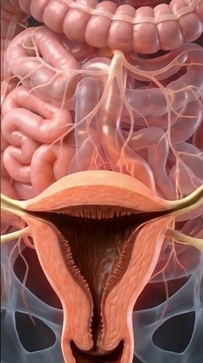 The Hidden World Inside the Female Body (You’ve Never Seen This)”