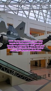 2.1K views · 16 reactions | Go on a fun science adventure this...