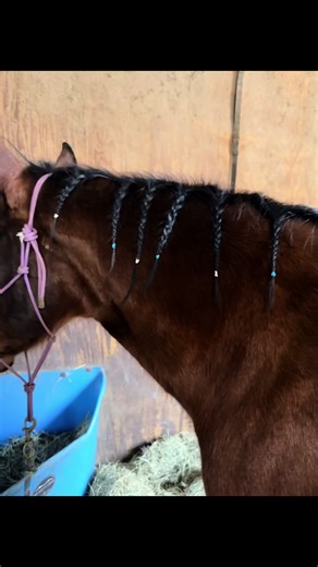 Riding Bareback in the Mud: Safety Tips for Barrel Racers