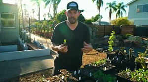 A Complete Tour of Our Garden and Homestead Layout