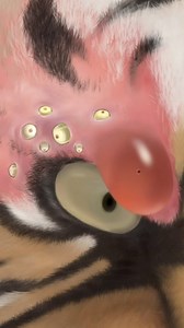 159K views · 455 reactions | Animal Rescue ASMR_Removing worms From Helpless tiger eye! _ Animal Tooth filling animation. #transformation #asmr #asmrsounds #asmrvideo #makeup #makeuptutorial #skincare #skincareroutine #beauty #satisfying #acne #extrusion #lashes #deepclean #viralreels | Nikolas Bushi | Facebook