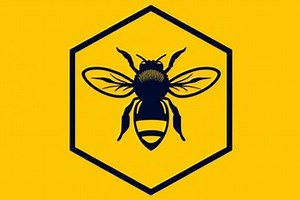 Honeycomb Image Compressor