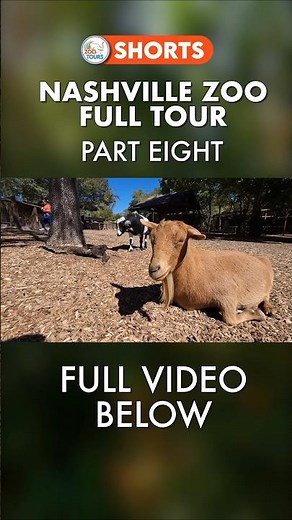 Nashville Zoo FULL TOUR - Critter Encounters #zoo #nashvillezoo