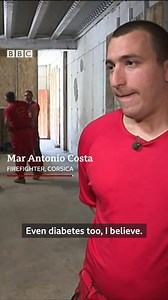 Dogs are being trained to find out if they can detect people with coronavirus. 🐶 bbc.in/2YqFn5N | BBC News