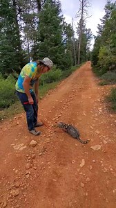 3.8K views · 383 reactions | Please take a little Fursday stroll with us. Thank you  | The Adventures of Finius the Skinniest | Facebook