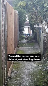 10K views · 245 reactions | Bro..... | Mr.B | Facebook