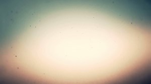 46K views · 2.2K reactions | The Codys closed Season 3 with a bang. ☠️ Witness the power shift in #AnimalKingdom’s epic season finale. | Animal Kingdom TNT | Facebook