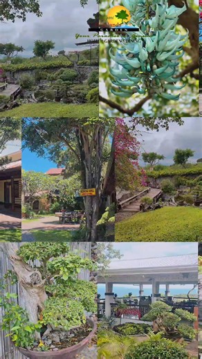 Sarangani Highlands Garden and Restaurant Gensan offers a stunning blend of vibrant flowers and peaceful sceneries - where every view feels like a moment of calm and beauty. #YourParadiseinGensan #saranganihiglandsgardenandrestaurant #exploresaranganihighlands #GeneralSantosCity #sox | Sarangani Highlands Garden and Restaurant Gensan