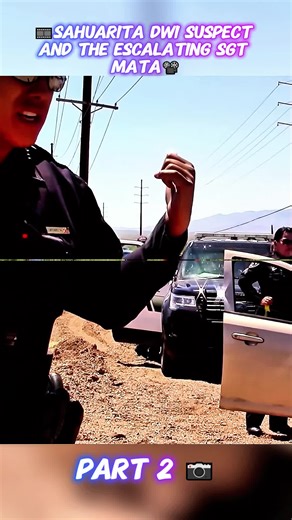 Understanding Police Audits and Their Impact