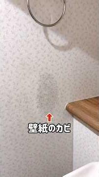 How to Remove Mold from Wallpaper Using Kitchen Haiter