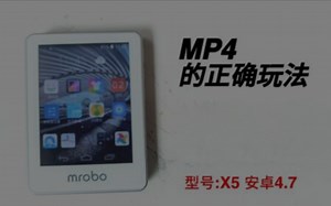 mp4的正确打开方式