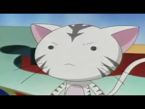 The CW4Kids Toonzai - Tai Chi Chasers (AOoT!) All New Next Saturday Morning Promo (10/22/2011)