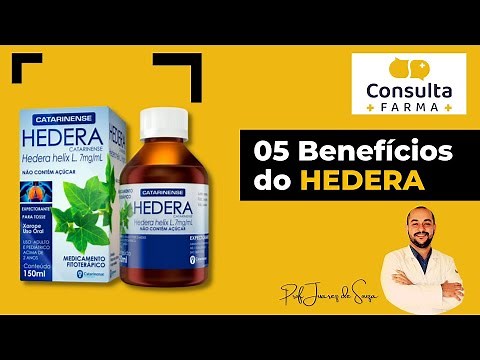 05 Benefícios da Hedera Helix L.