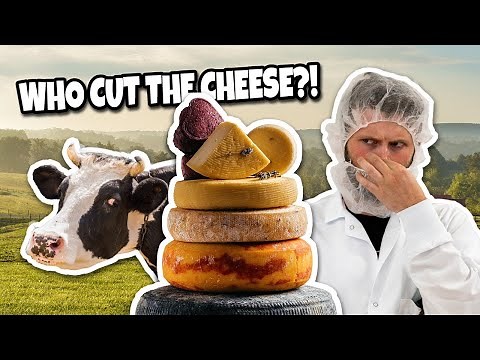 Cheesemaking: Making Cheese From Fresh Cow Milk