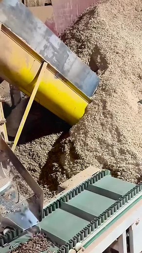 Wood chip pellet machine, feed pellet machine, pellet machine production line#tiktok #machine #work #wood #pellet