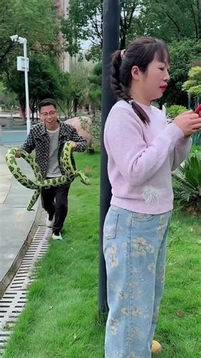 Hilarious Moments in Comedy TikTok Videos