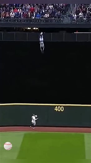 Baseball Spectator Catches Ball in Spectacular Style