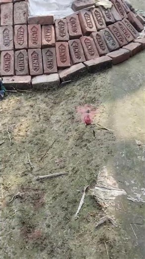 #Jet In Air Helicopter 🚁 #RC helicopter Review, #RemoteControlHelicopterShot, #helicoptershotsvideo