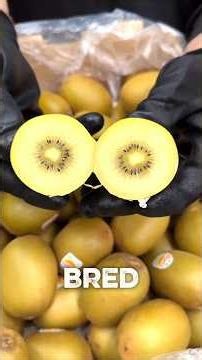 Golden Kiwi: The Healthy Hybrid Superfood Americans Love! 🥝. price