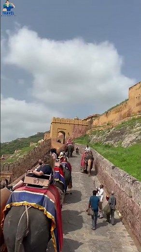 “Royal Rajasthan – Land of Kings & Culture”