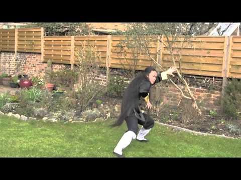 Master Zhongxian Wu demonstrates a section of the Fire Dragon Martial Arts Form