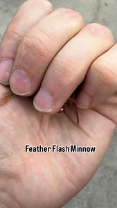 Small profile. Subtle flash. Big eats. When trout won’t chase the big stuff, this one gets it done. #reddsflies | Redd's Flies