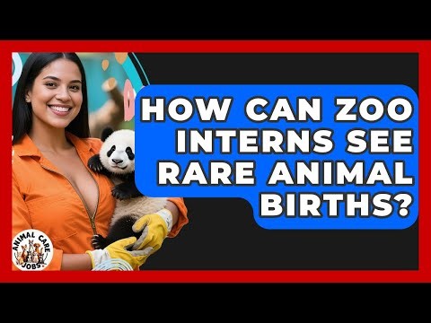 How Can Zoo Interns See Rare Animal Births? - Animal Care Jobs