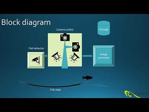 An automated system for fish counting, data collection and decision making.