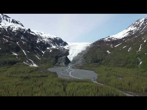 Background Nature Video Free Stock Footage