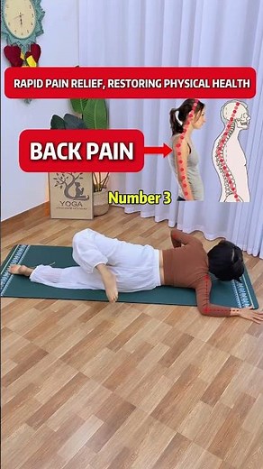 BEST Exerciser for BACK PAIN Relief Now