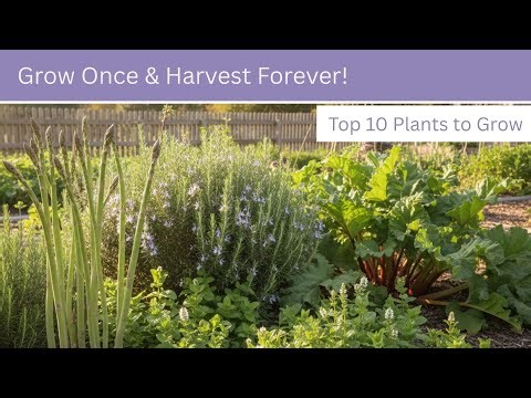 10 Plants You Grow Once and Harvest for YEARS | Low-Effort Garden Guide