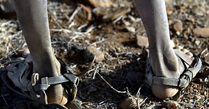 Mais de 820 milhões de pessoas passam fome no mundo