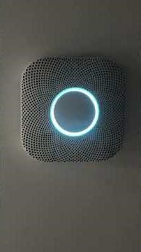 Nest protect test