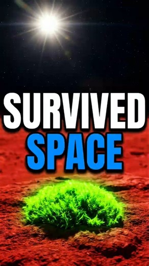 The "Zombie" Plant That Survived Space 🧟‍♂️🌱