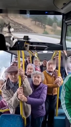 4.6K views · 28 reactions | Parallel Reality :D #fyp #viral | Класически Българин | Facebook