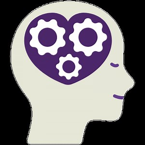 Free Executive Function in the Classroom Micro-course - Seth Perler Executive Function ADHD 2e