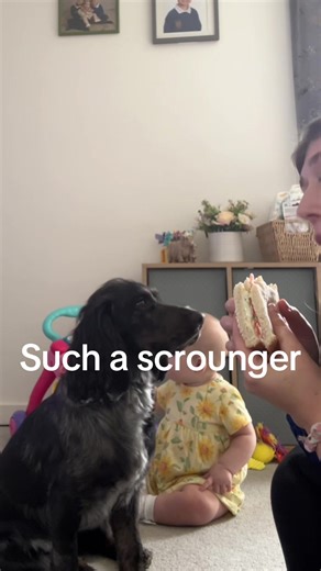 Can never eat alone when this one’s about 🫣