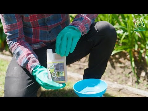 Control lawn weeds like nutgrass, Mullumbimby couch, as well as broadleaf weeds on all lawn types!